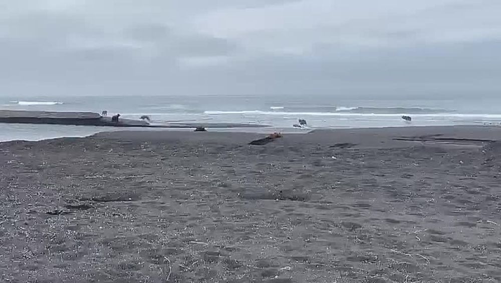 �� �����-������ ������, ��� 13 ����� �������� ������� �� ��������� ������ ������?