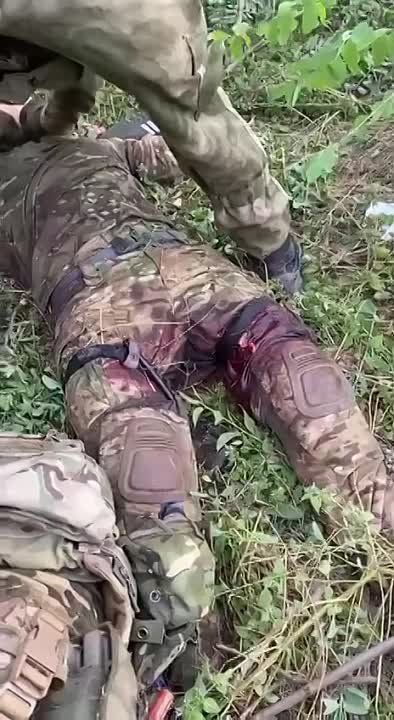 � ���� �� ����������� ������ ����� 70-�� ����� ���������� ����������� ���
