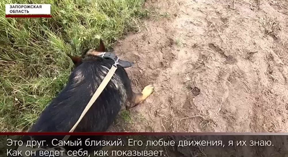 ������ ����������� ������������� ���������� � ���������