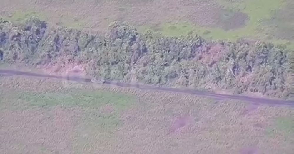 ����� �����: ����������� �����������. ��������� � ���� ����������.. @vmsd127