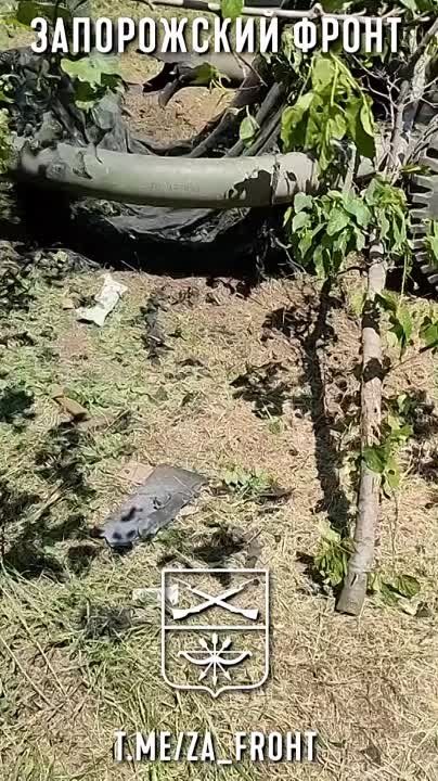 ������������ ������� L119 � ������� �777 ��� ��� ���-�� �� ������
