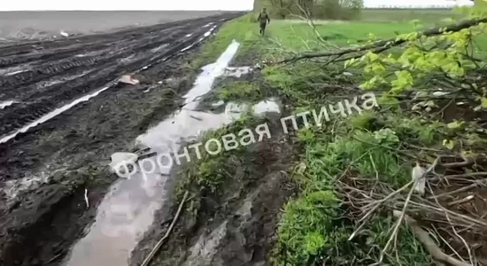��������� ������:. ����� � ��� �� �������� �� � �� ����� ������ � ��������� � ����������� ���������� ��������� �������� �...