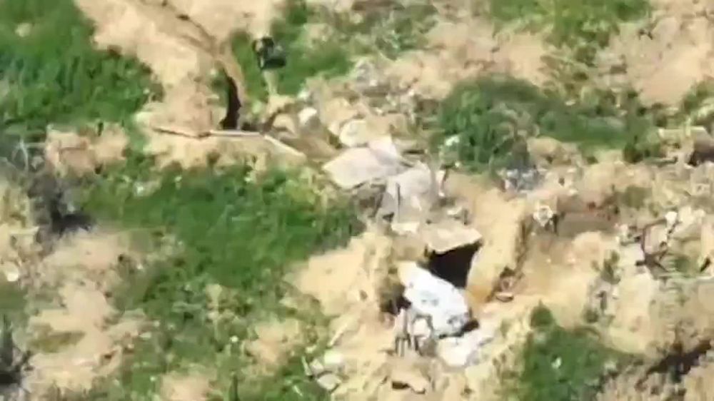 ������� ���������: ������������� ������������� ����������� ������� �� ������ ������������ ���������