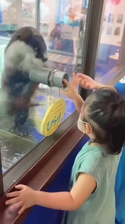 #����������. � ����� �� ��������� ���� ����� ���� ��������� ���� �����, ����� � ����������� ���������� ������ ����� ������ ����� ���������