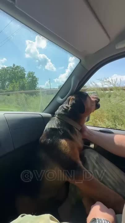 #�����������_��_��. ������ ��������� ���������