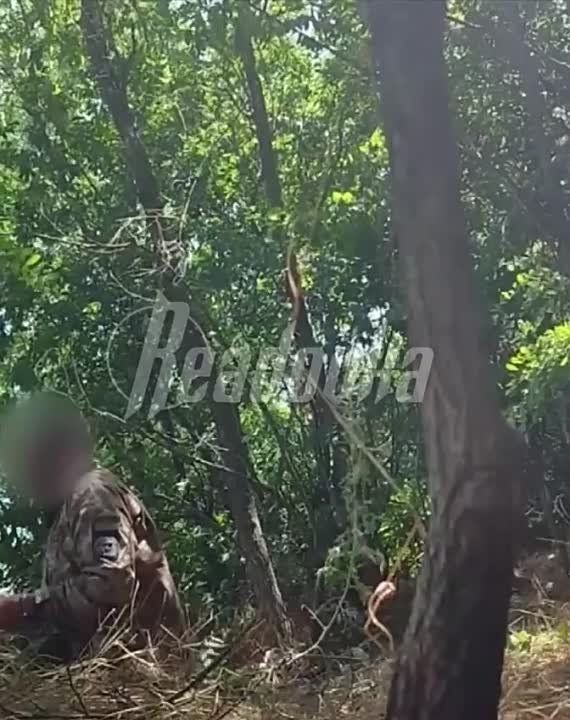 ������� ����� ����� � ���� ����� ������������ ���, ������� ��� ��������, � ���������� ��������� ��������� ����� ���������� � ��������