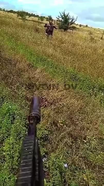 ����� ����� � ���� �������� � ������ ���������������