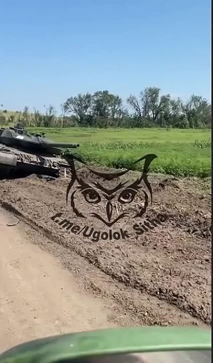 Евгений Лисицын: Очередные, уже даже не помню какие по счету, кадры приунывших немецких «Леопардов» на Запорожском фронте