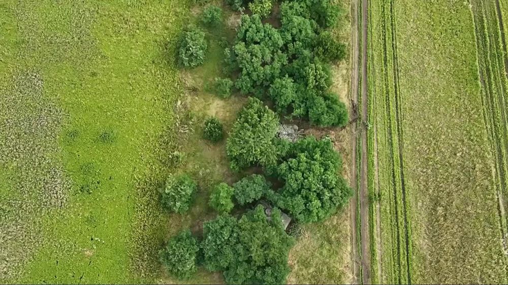 ����� �����: ����� ��������� ���������� ������� ������� 70-�� ��������������� ����� �� ����������� �����������