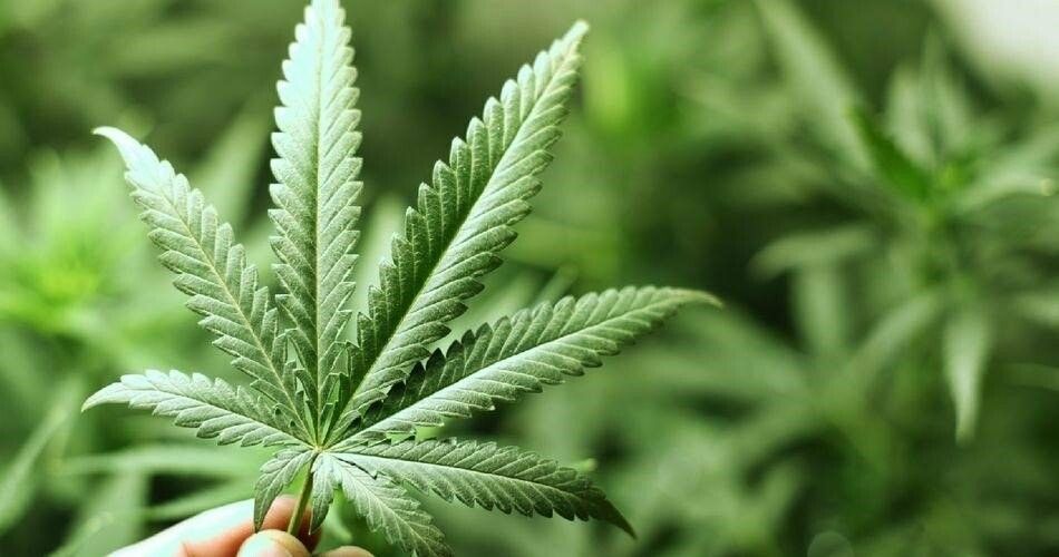 ��� ���� ����������� ������������ ��������� �� ������ �������