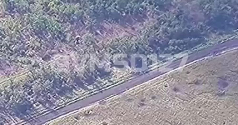 ����� �����: ����������� ��������������� ������� ���������� �� ����������� �����������