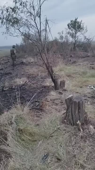 ����� ������ ������ 70-�� ����� � ������ ��������.