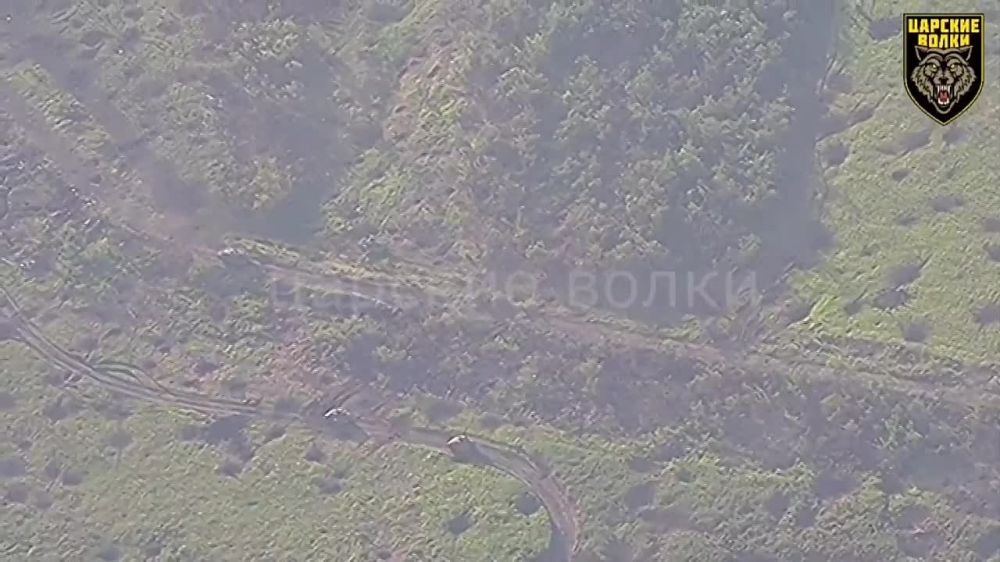 ������� �������: ���������� �������-�������� ������ "������� �����" �� ���������������� ������ ����-11 ������������ ����� ���������� 58-� ����� �� ����������� ������