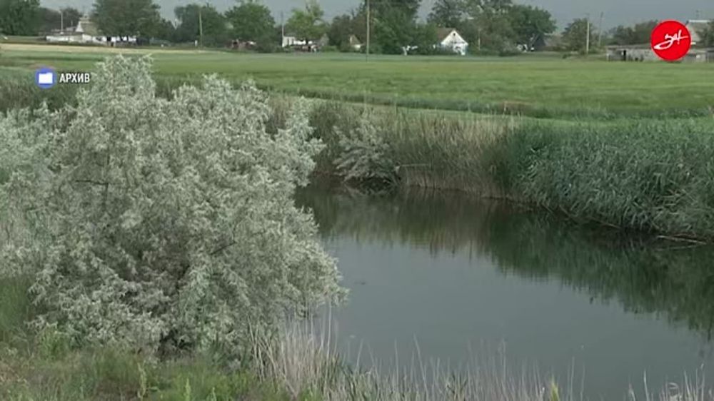 ��������� ������ � ����������� ����������� ������� � ���������� ������� � ����� ������� ��������������� �������� 31 �������