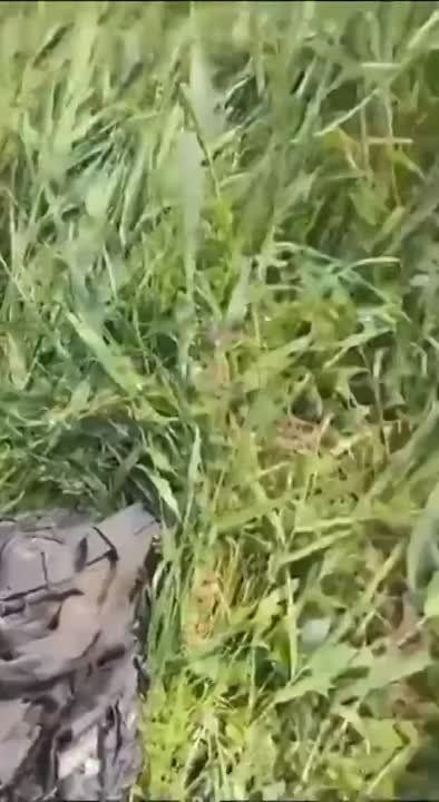 �������� ���������� ���������������� �113 �� ����������� �����������