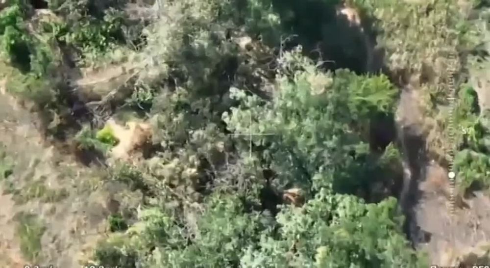 ������� ��������: �����, �� ��� �����! �� ����� ��������� ������ �� ��� �� ��������!