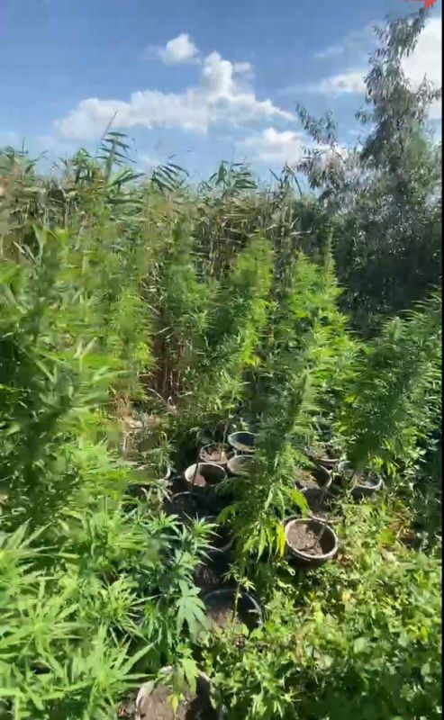 � ���������� ����������� ������� ���������� ���� ������ ���������