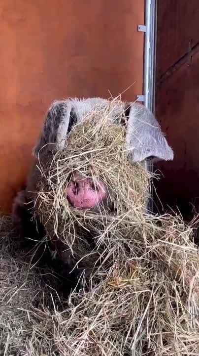 ������� ��� ��� ��� ��� �� � �����