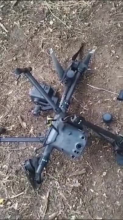 ������ 2023. ����������� �������, ������
