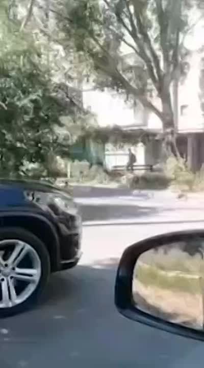 �������� �����: ����������� ���������� ����������, ����������� ��������� �� ����������� ���������