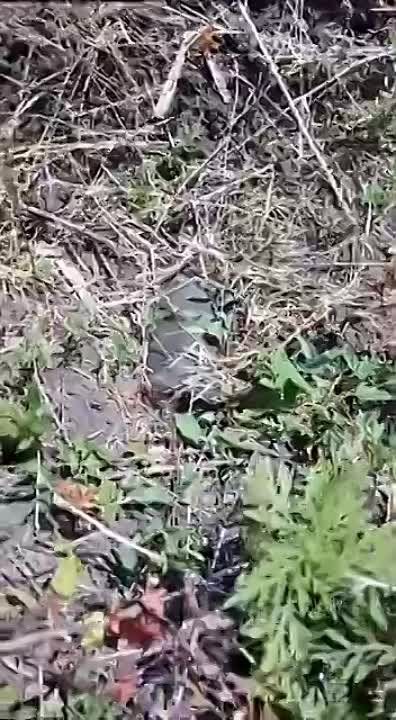 Андрей Руденко: Ещё немного украинских хлопцев которые так и не доехали до фронта