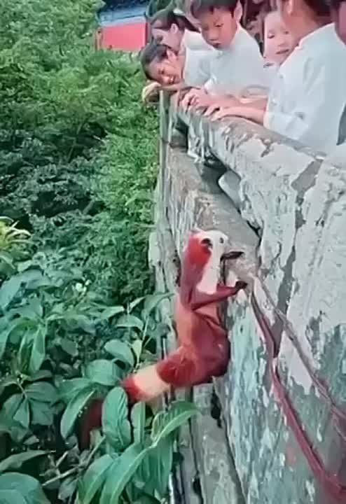 ���, ��� �� �������, ��� ���������� ������