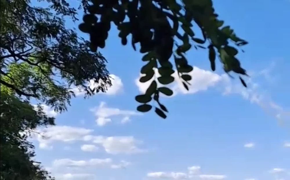 ������� ������ �������� �� ���������� �� ����������� �����������