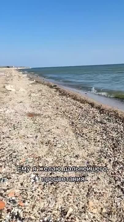 ������ ������: ����� ����� ����� l. ��� ��������, ������ ����� � ���������� ����� 300 000 �������, ��������������� �� ������ ��������� ���� � ���������� �������