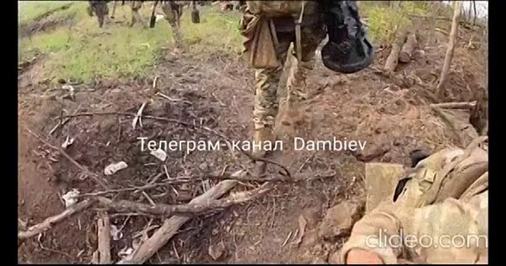 Чингис Дамбиев: Реалии украинского контрнаступления