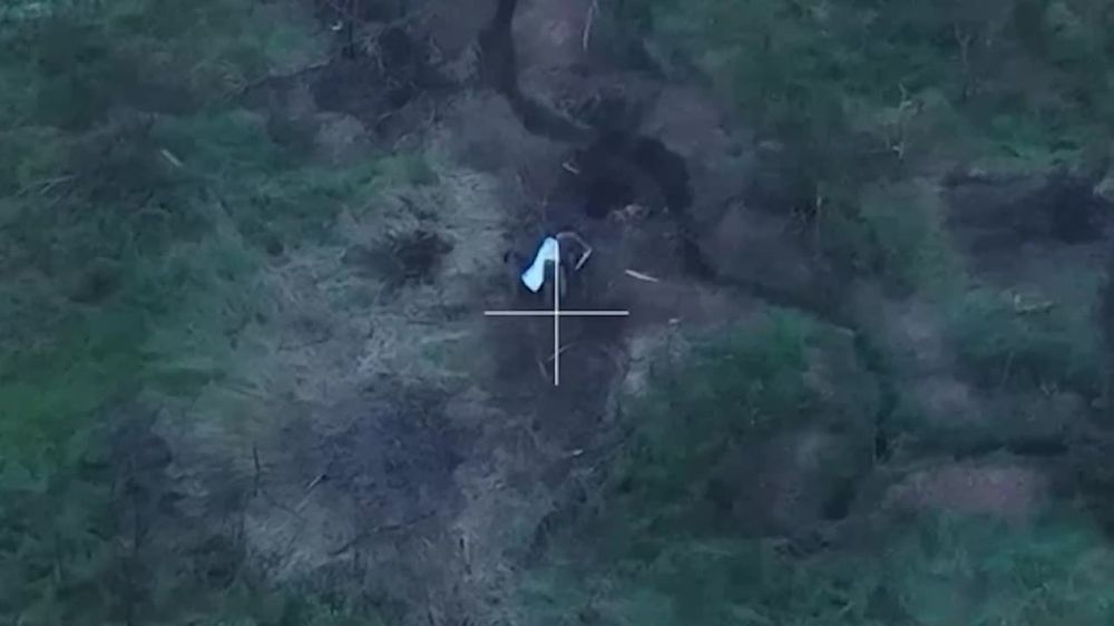 ����� �����: �� ���� ������ "������" ���� 229-�� ��������������� ����� ������� ����� ������ � ��������� �� ����������� �����������