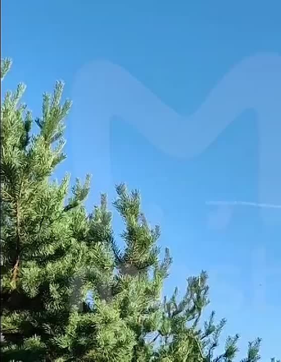 �� ������� ������ ����� �������: �� �� ������� ����� �� ������� �������� �� ���������� ������