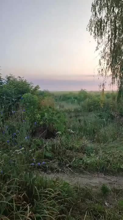 ������� �������: ���������� ��������������� �������� �������� ���������� ��������� �� ���������������