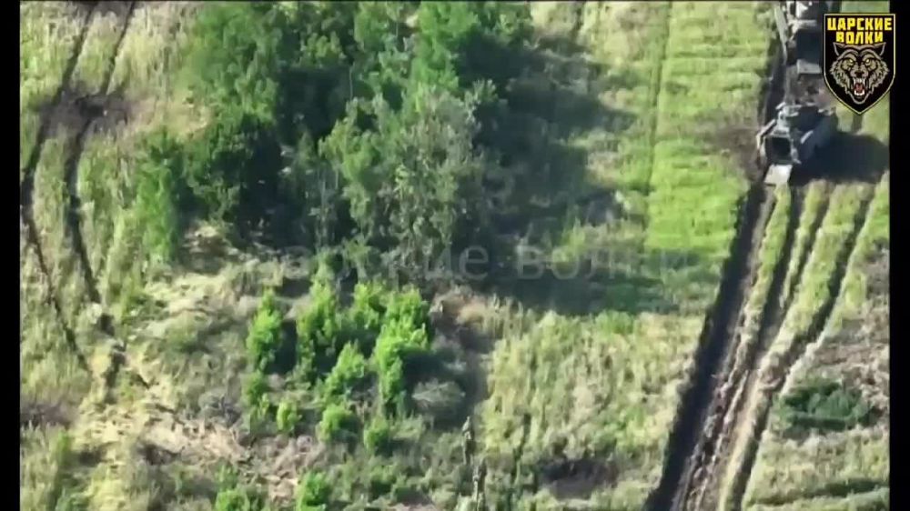 ������� �������: ����. ����������� �����. ������� ������ ����� ���������������� ���� �� ��������� ������� ������ �������