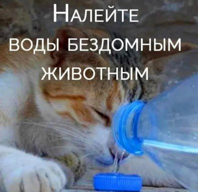��� ��� ���������� � ����������� ������ � ������ ���������� � ��������� ��������, � ����� � ������!