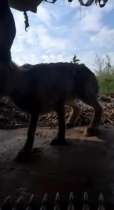 �������� ��������� ������� �����