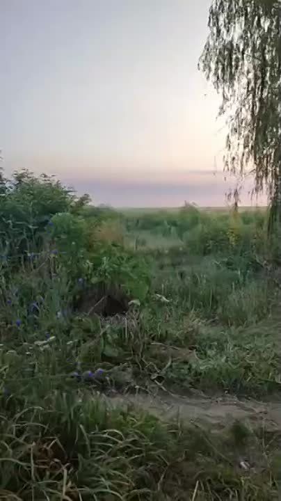 ������ ��������� ���� "������" ������ "����-10" ������� �� ����� �������� ������-����������� (��- / ������������) �������� ���, ����������� �� ����� �� ����� �� ����������� ������