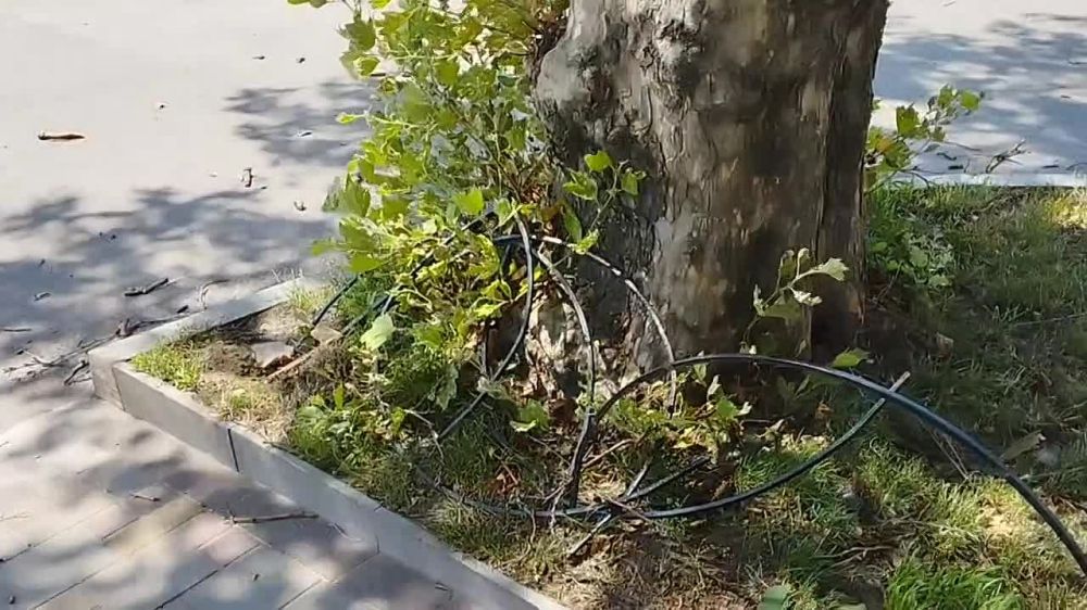 ����� � ������ - �������� ����