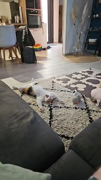 �������, ��� ��������� �������� � ���� ��������