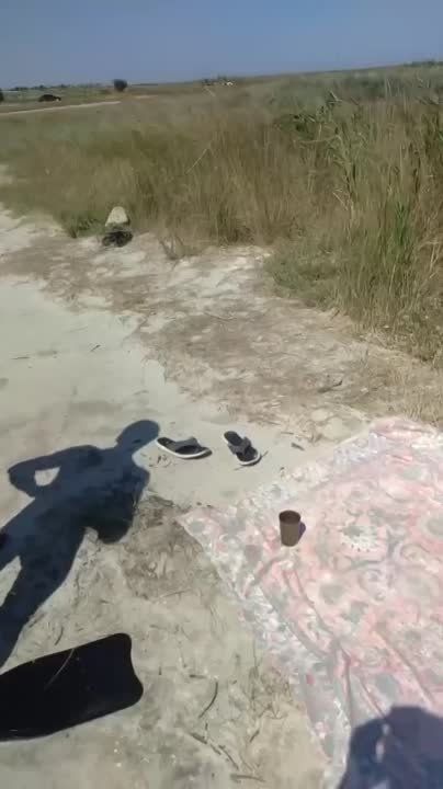 Владимир Рогов: Боевики ВСУ ударили 12 ракетами по мосту через пролив Тонкий, соединяющий город Геническ с Арабатской стрелкой