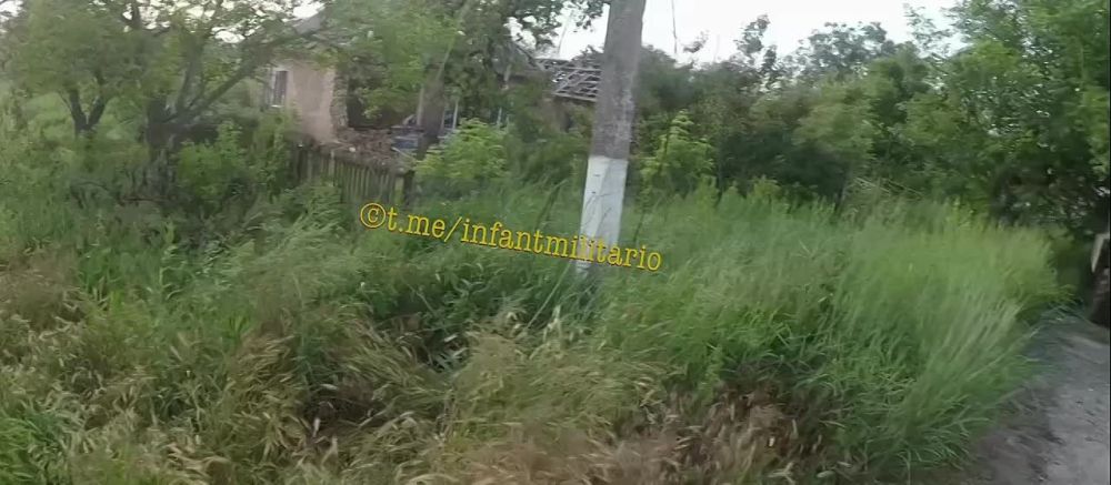 ����� ����� Leopard 2A6 � ����� ������ � ���������