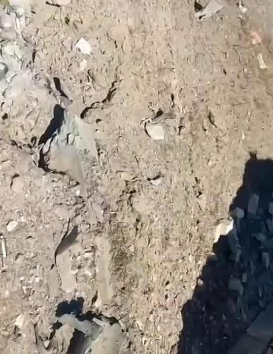 ����� �� �������������, ������� ����� ���������� ������� ���