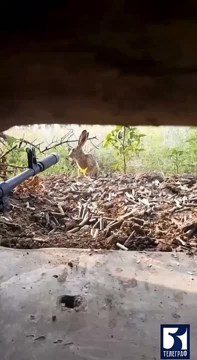 � ����� � ������ ����� ��������� ������� �����