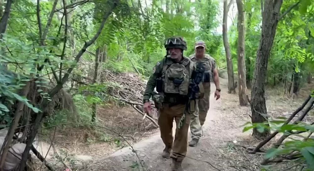 ������� ��������: ����� � ������������ �����������, ��� ����������� ����� ���������� ����� ������ Z� ��� ������������� ����, �������� � ��������������� ������� ������� �������� �����