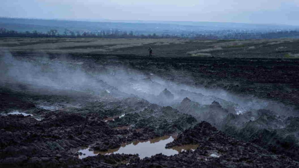 � "������������" ������������ ���������� �������: ������ ������� ��������