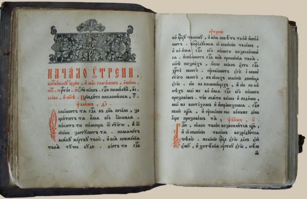 ������ ������� "���������"