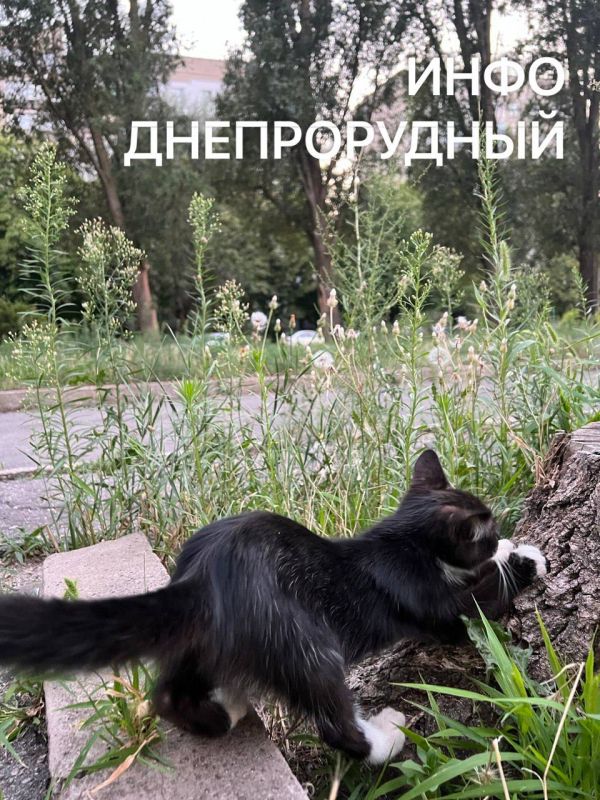 ����� ���� ���� ������ ������ � ����� �����! ����� � ������� � ������� � ��� ���������������� �� ���-�� ������������� � ������!