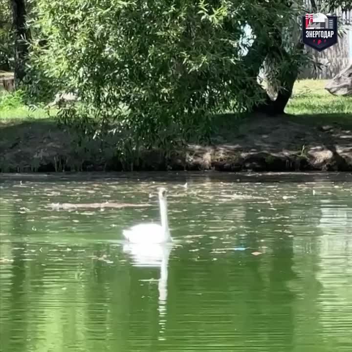 ���������� ������ ���������� �������� �������� ����������� ����