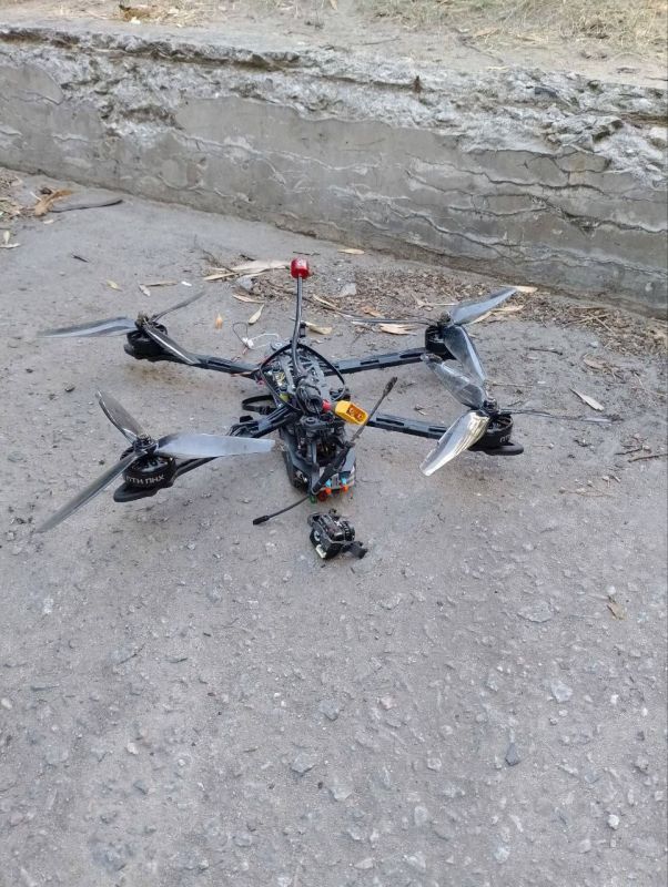 ������� ���������: �����������, ������ ��������, ���������� � ���� ��� �����������