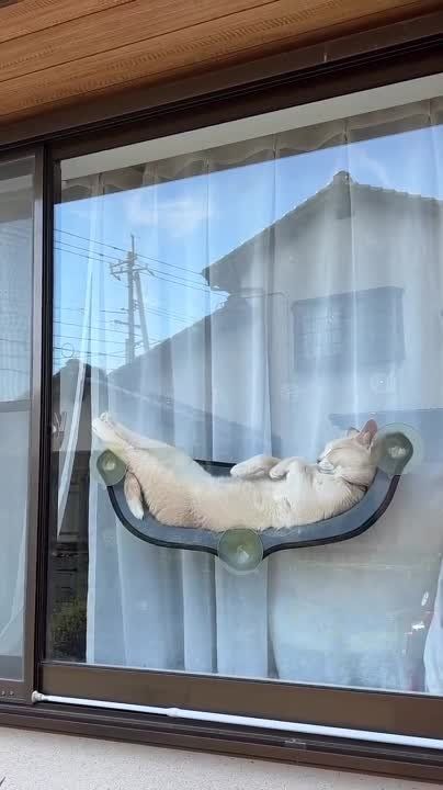 � ������ �����, ��������!. �������������� ��