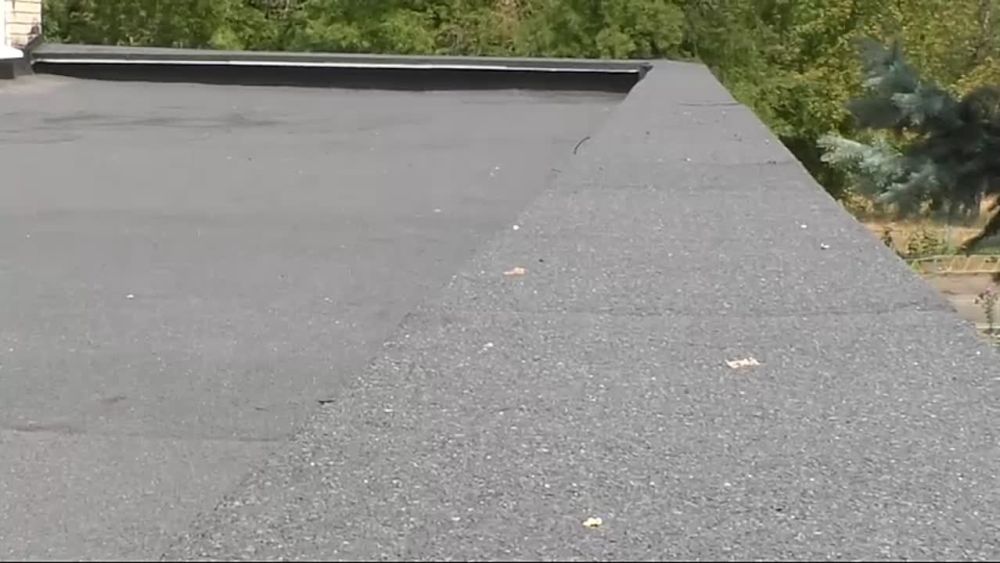 ������� ������� � ���� �� ������������� ������� �������� � �������� ������������������� ����� � 14 � ����������, ������� ������ ���� ����������� ������ ������������